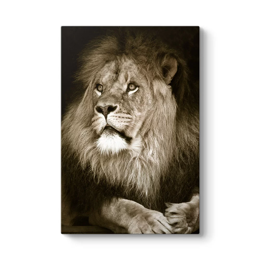 Aslan Tablosu - Model 2